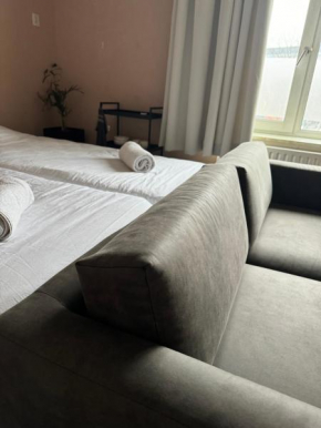 Kamer vlinder vlucht